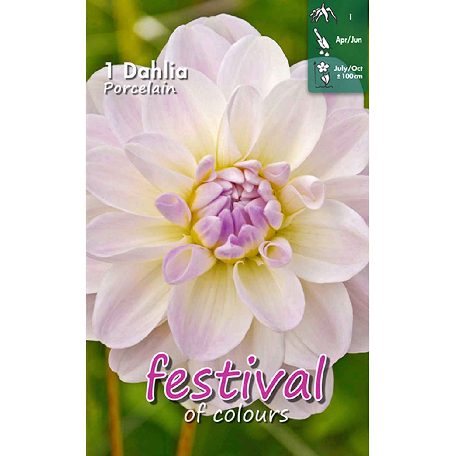 Dahlia Porslin Dekorativ