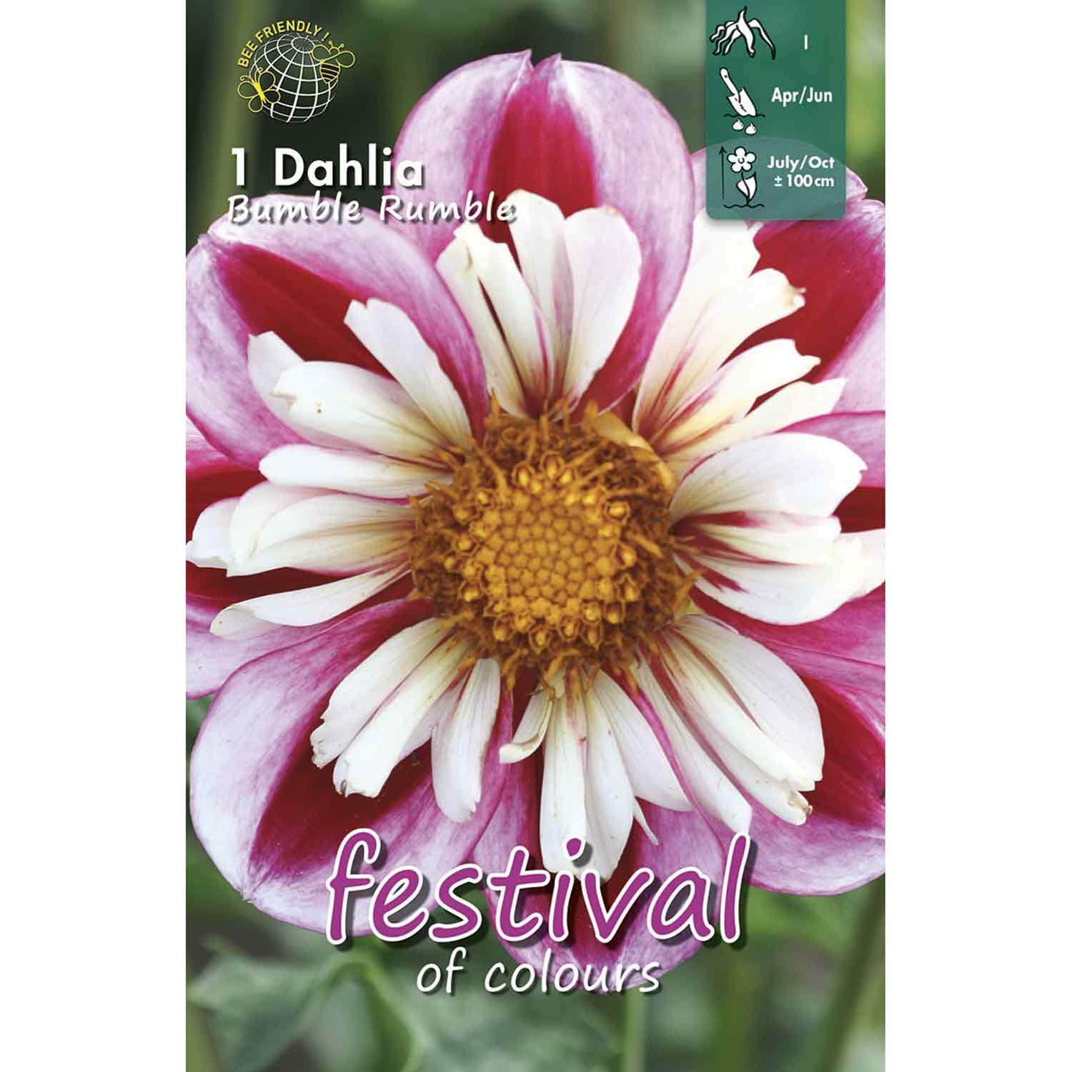 Dahlia Bumble Rumble Collarette, NEW