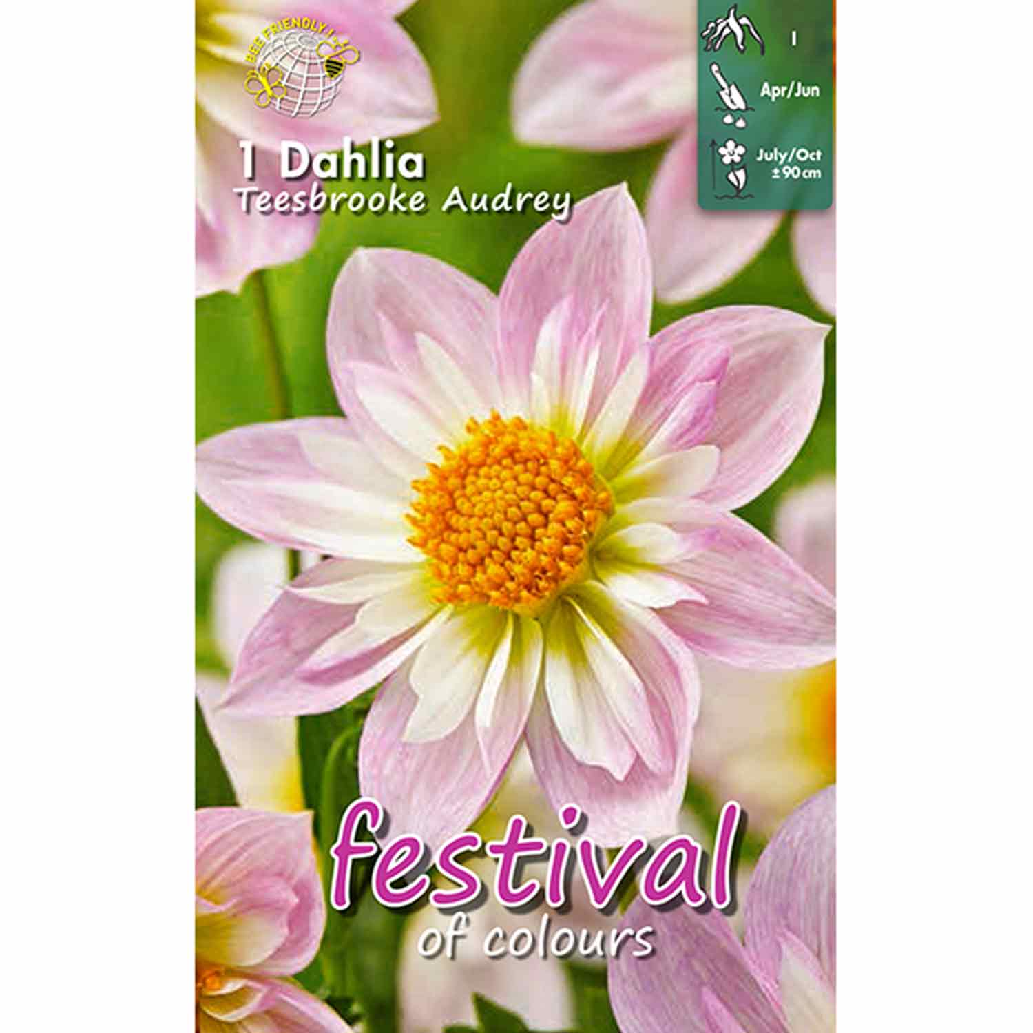 Dahlia Teesbrooke Audrey Collerette