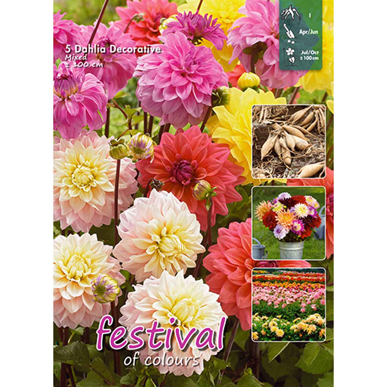 Dahlia Mixed 100cm Decorative 5stk