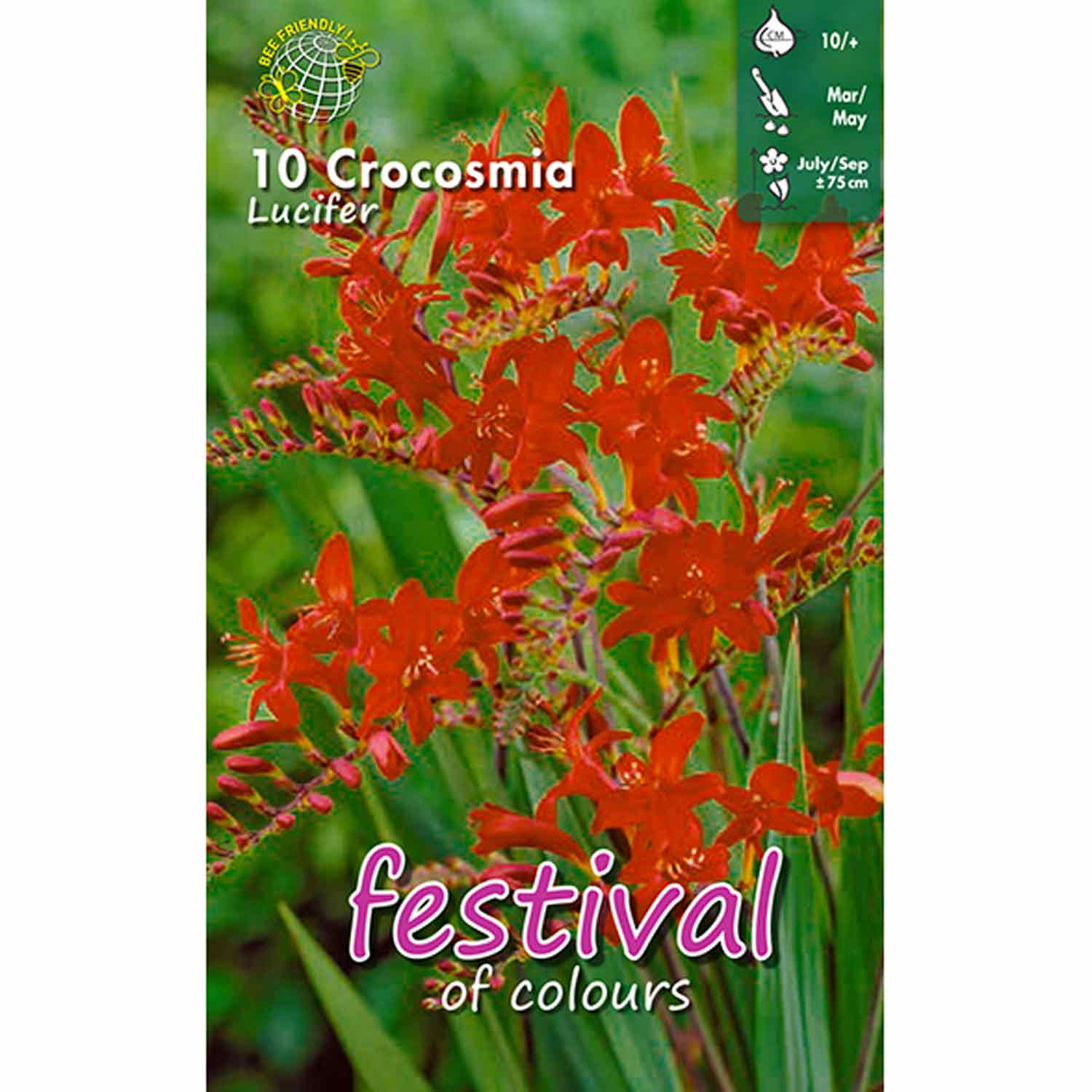 Crocosmia Lucifer 10stk