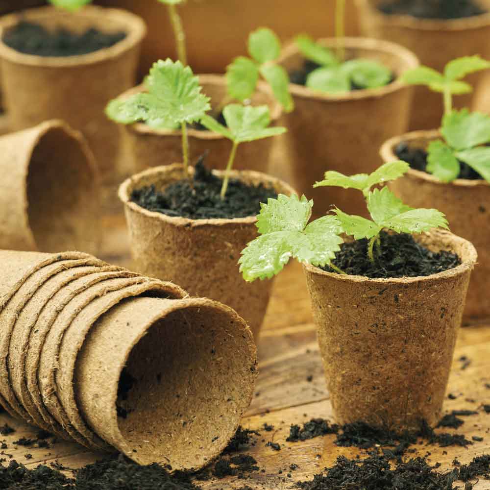 Gro-Sure Fiber Pots Round 8cm 12pk