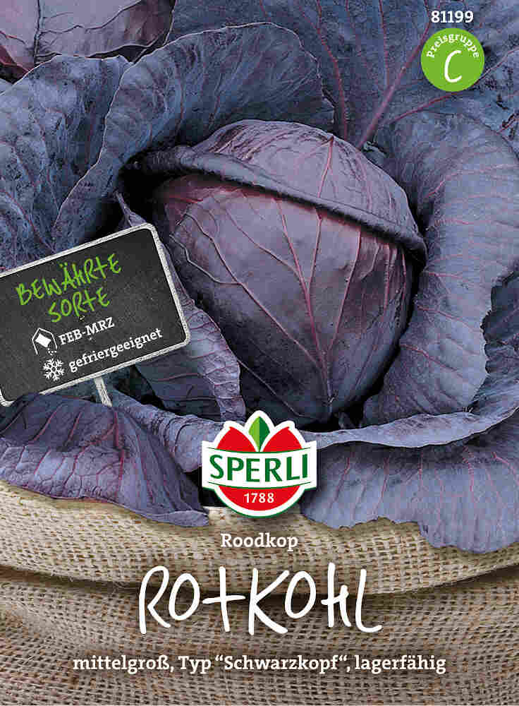 Red cabbage seeds - Cabeza negra 2