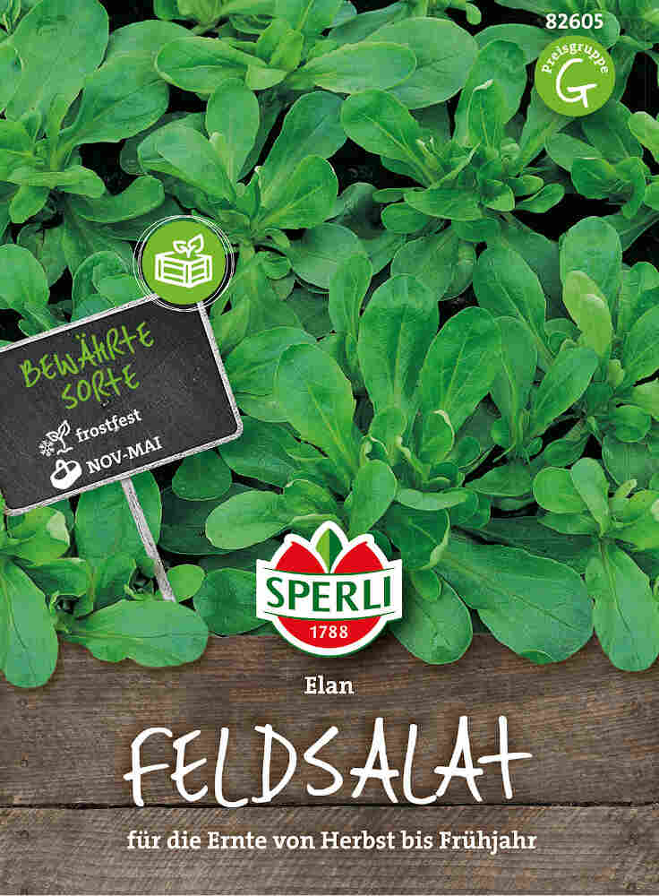 Field lettuce seeds Elan