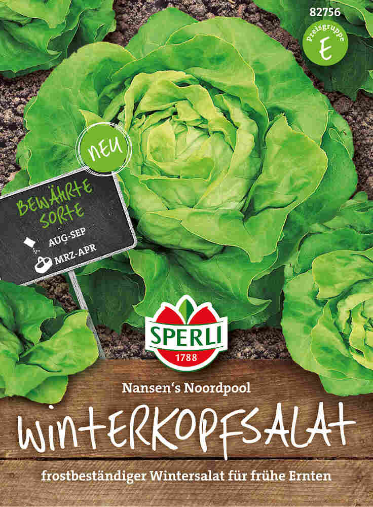 Winter lettuce seeds - Nansen's Noordpool