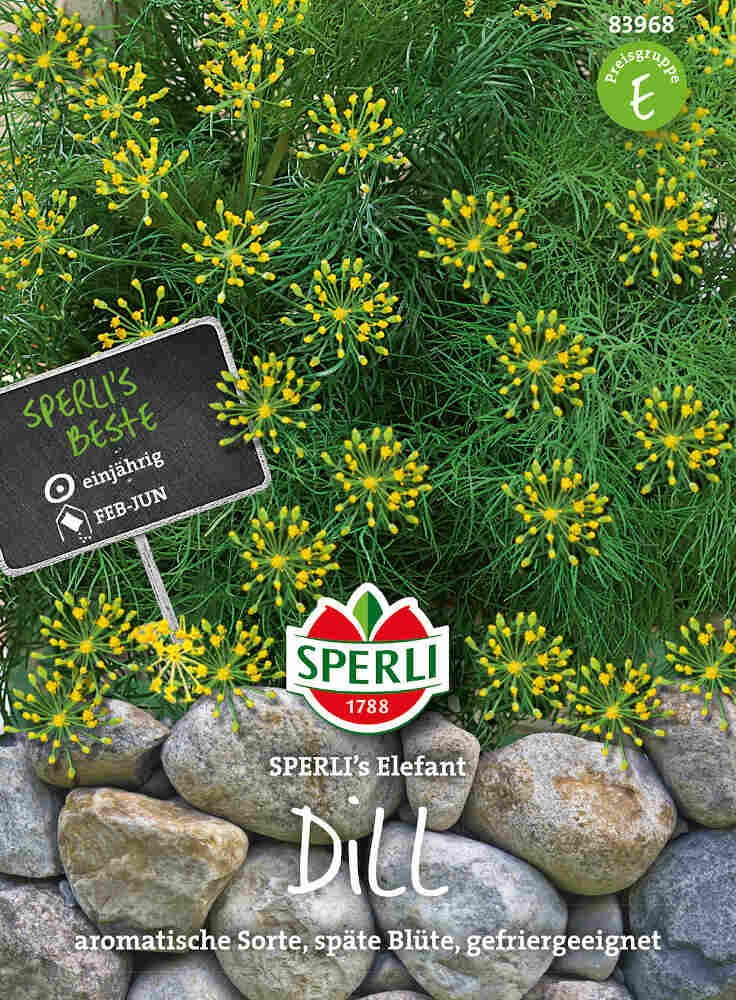 Dillfrön - SPERLI's Elephant