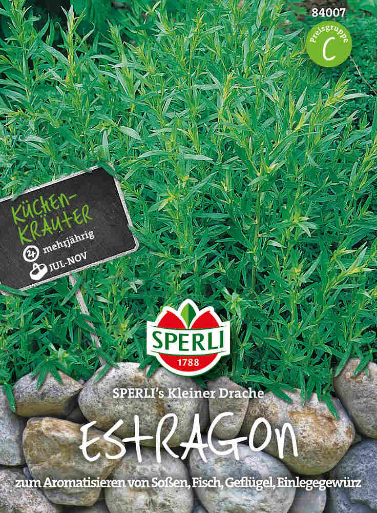 Dragonfrön - SPERLI's Little Dragon