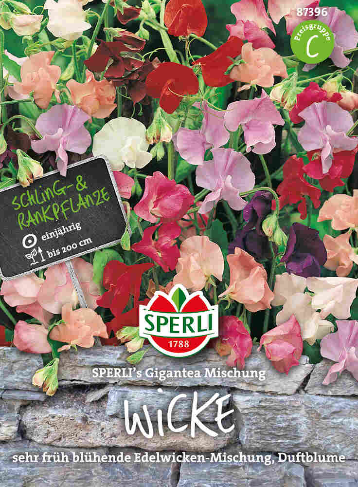 Pea flower - SPERLI's Gigantea Mischung
