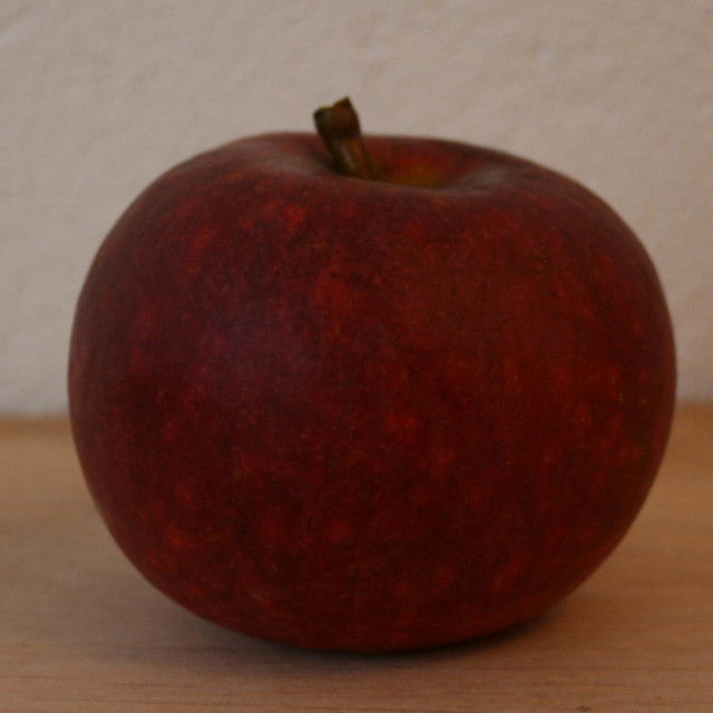 Æbletræ Ingrid Marie Rød Espalier