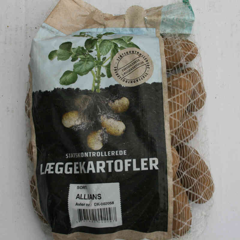 Læggekartofler - Allians 1,5kg
