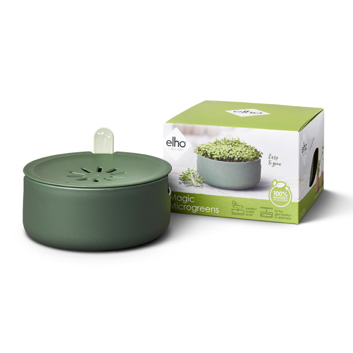 magic microgreen leaf green