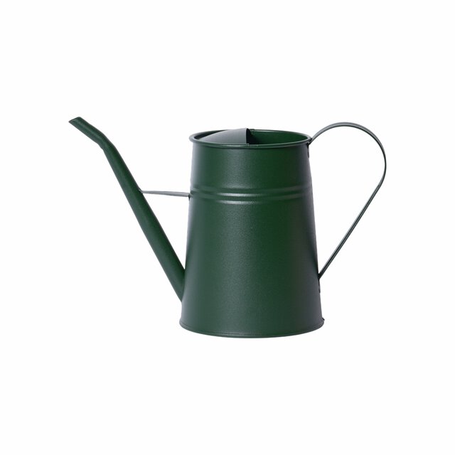 Bugsy watering can green 3 Ltr
