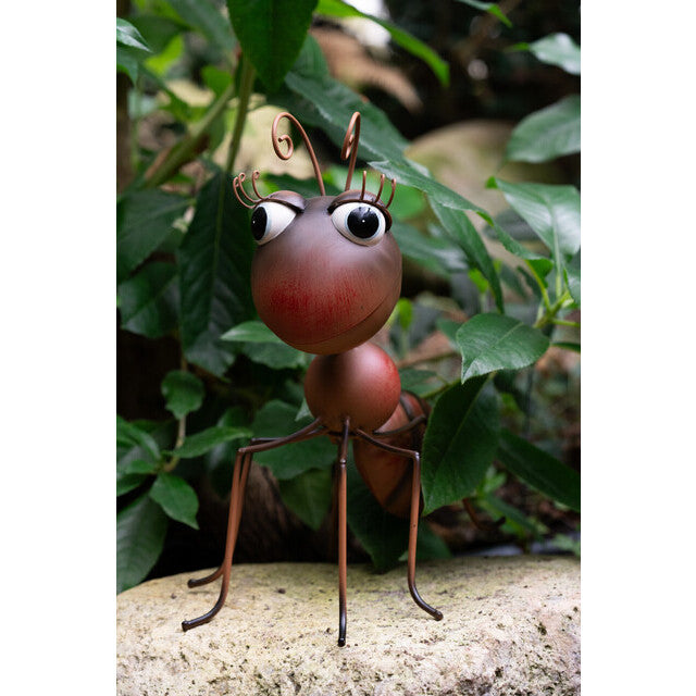 Elvis ant brown L20 W28 H34