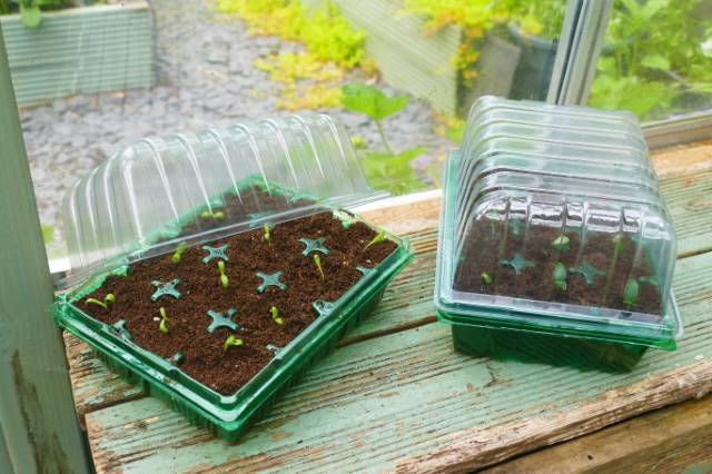 Gro-sure Visiroot Propagator Set