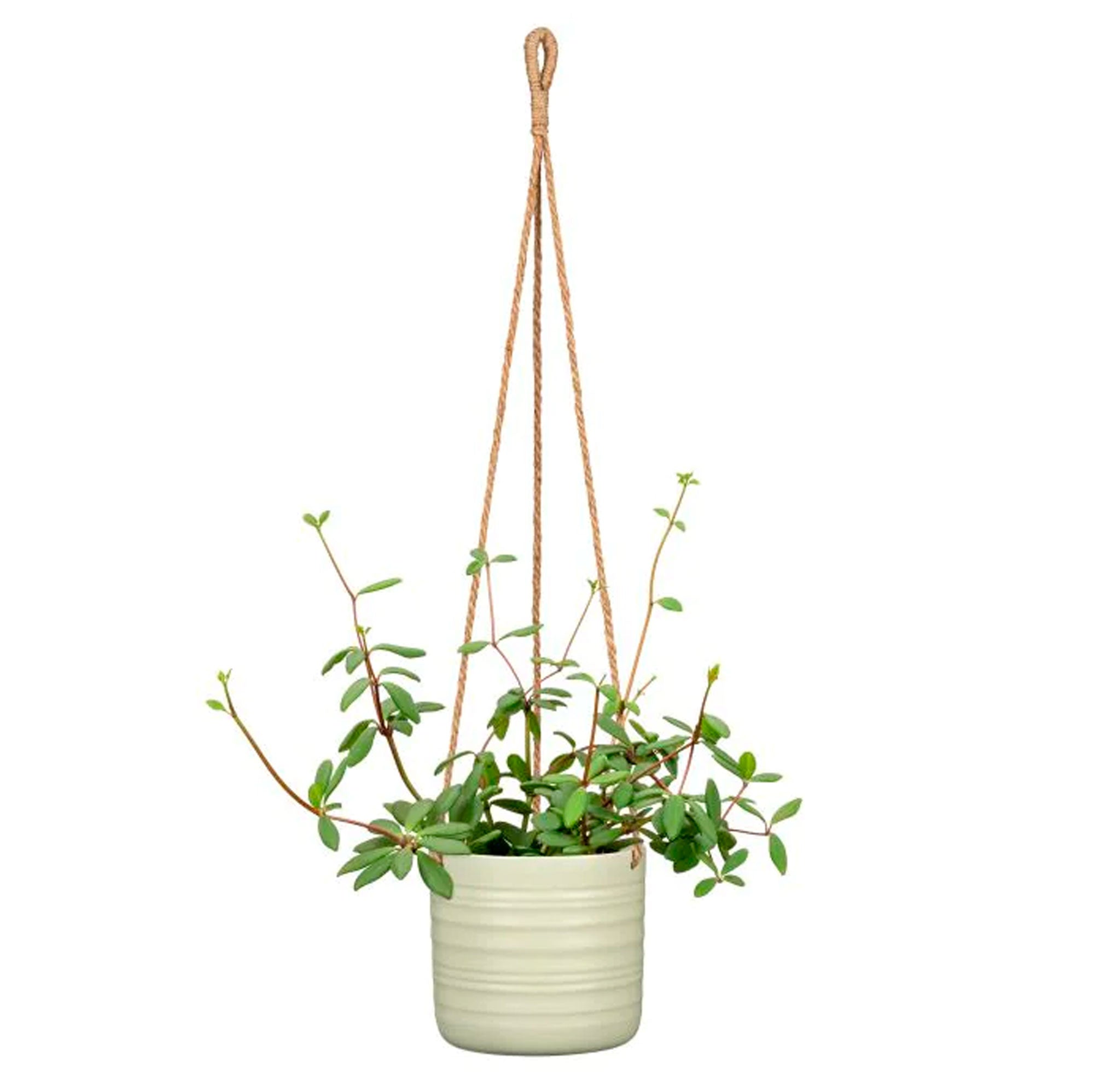 Hanging-Pot Silent Green 450/14