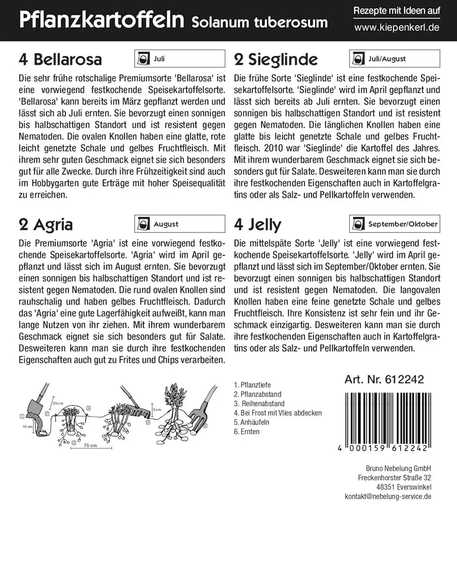 Kartoffel-Quartett Reifzeit