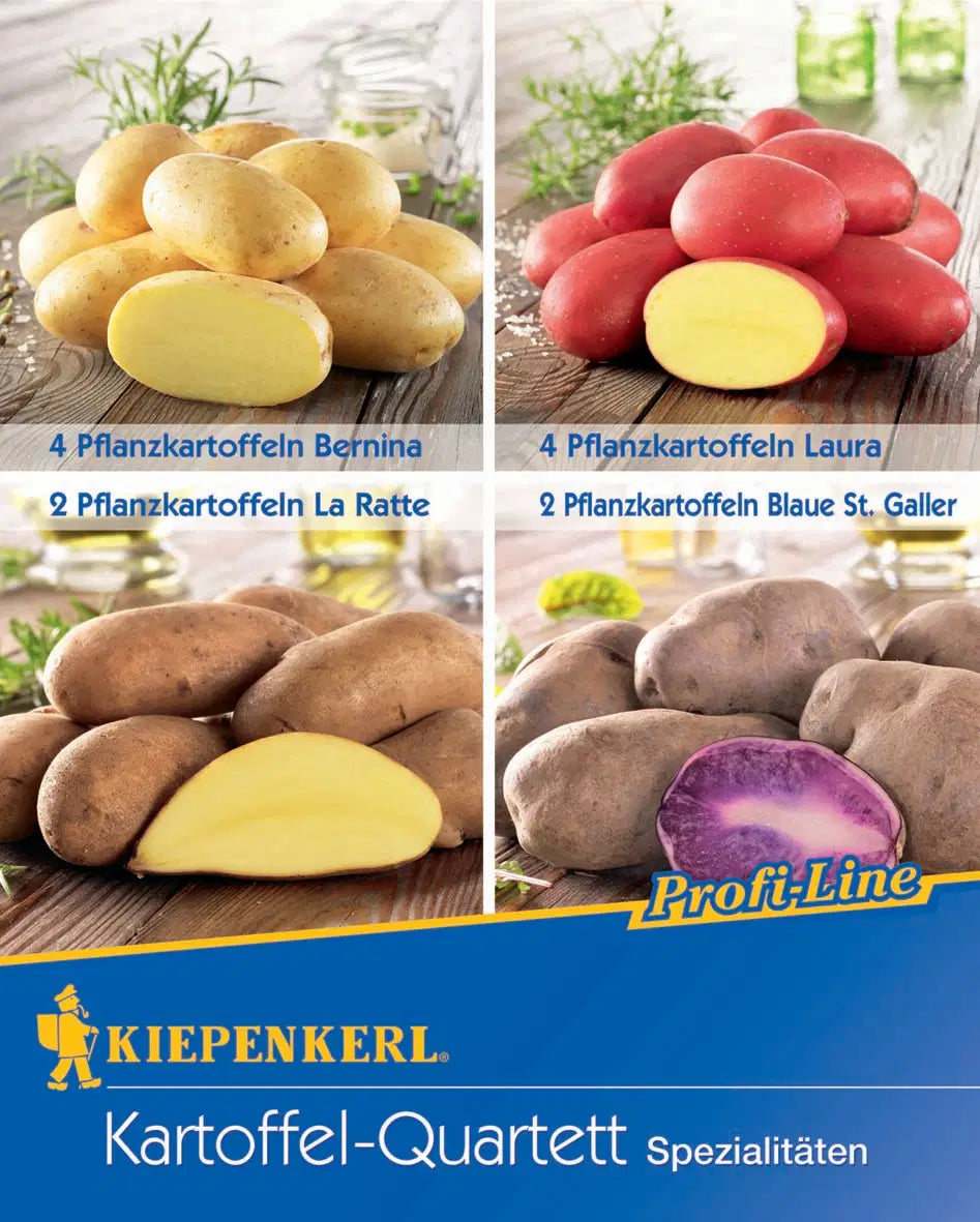 Kartoffel-Quartett Spezialitäten