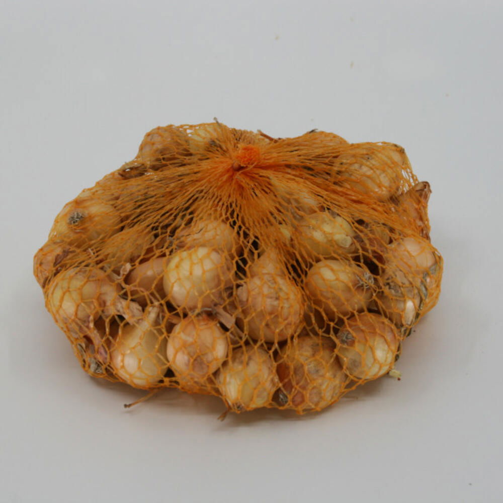 Steckzwiebel Stuttgarter Riesen, Gr.14/24, 500 g