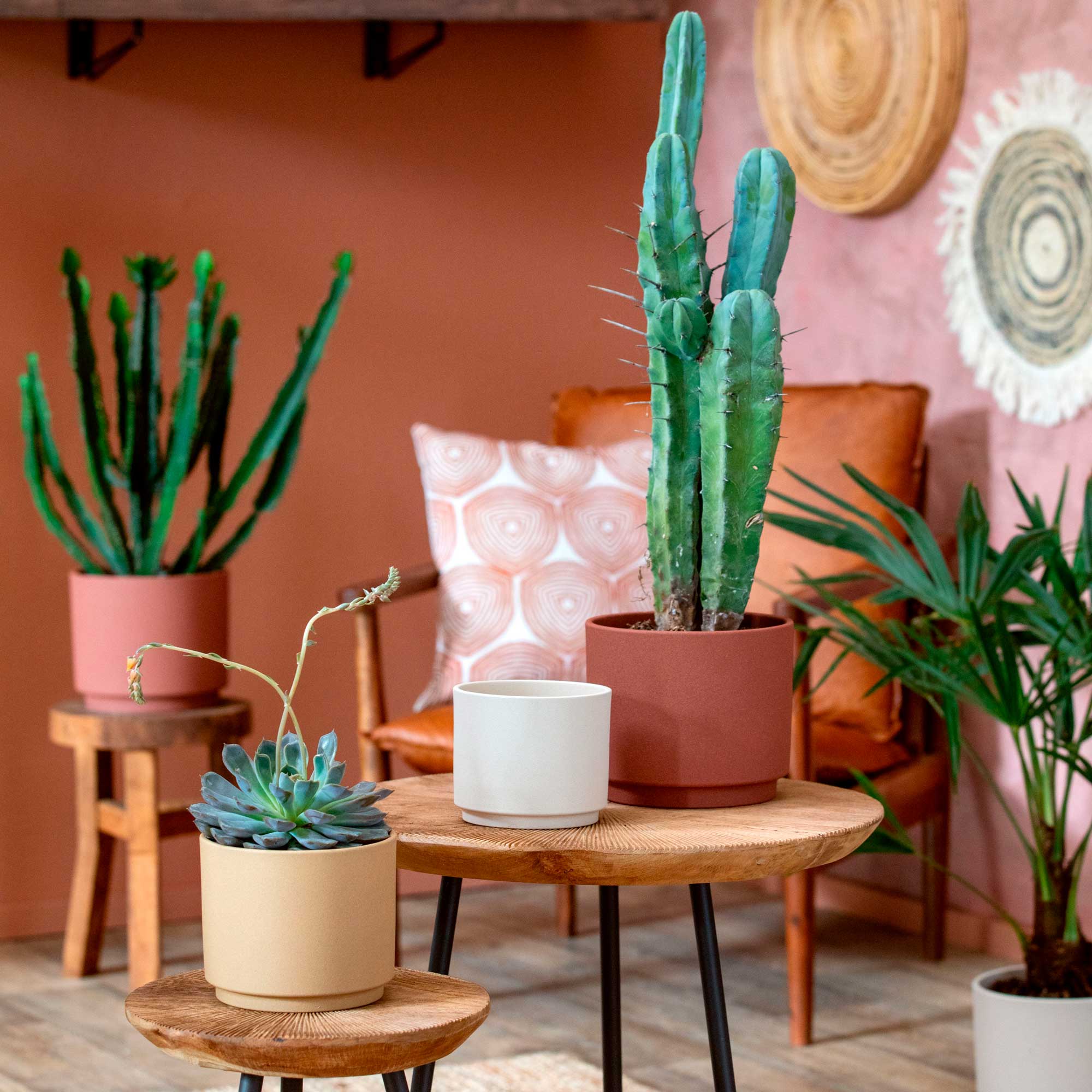 Oslo clay skjuler Ø19