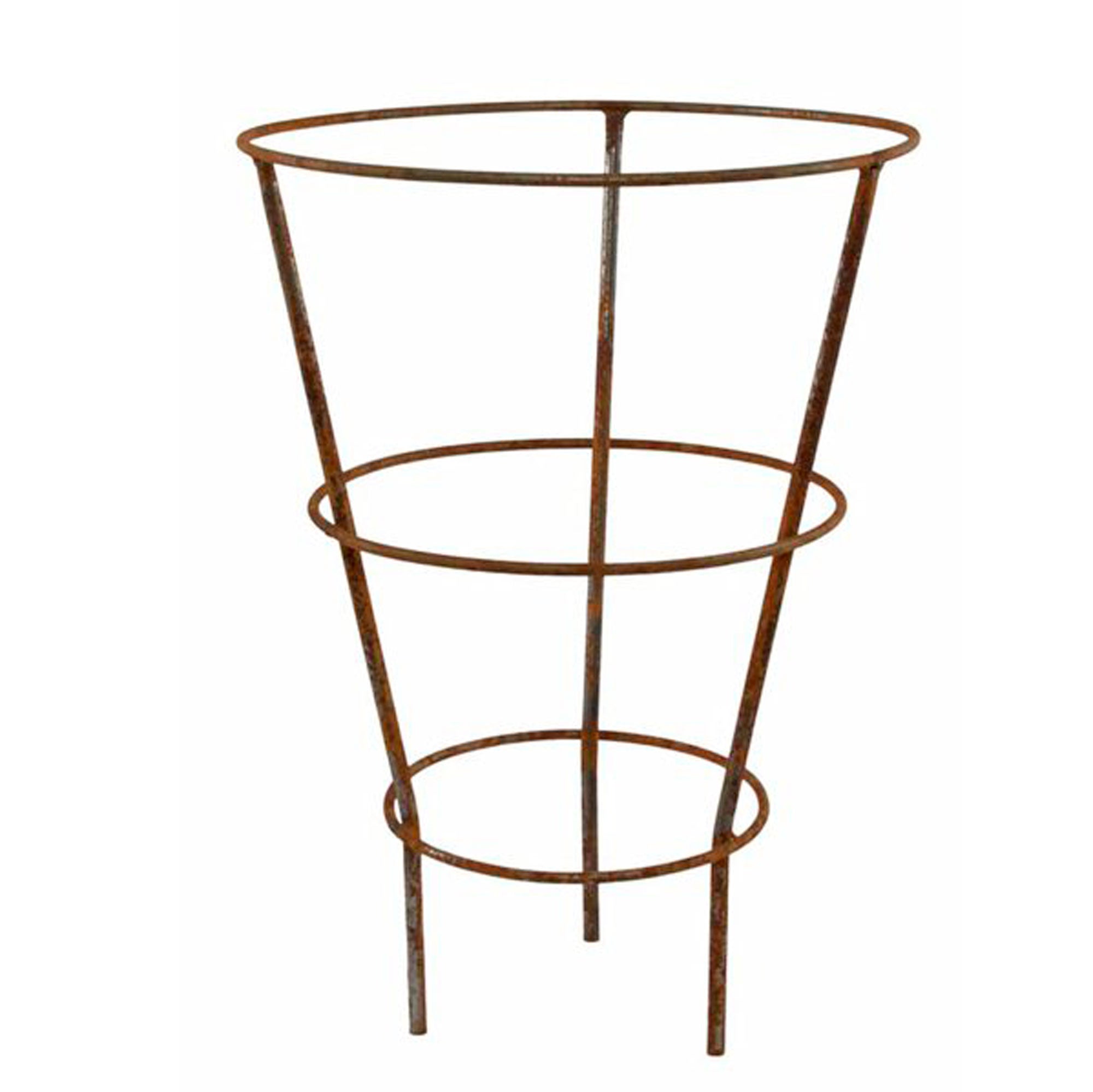 Staude trellis rust D41 H58