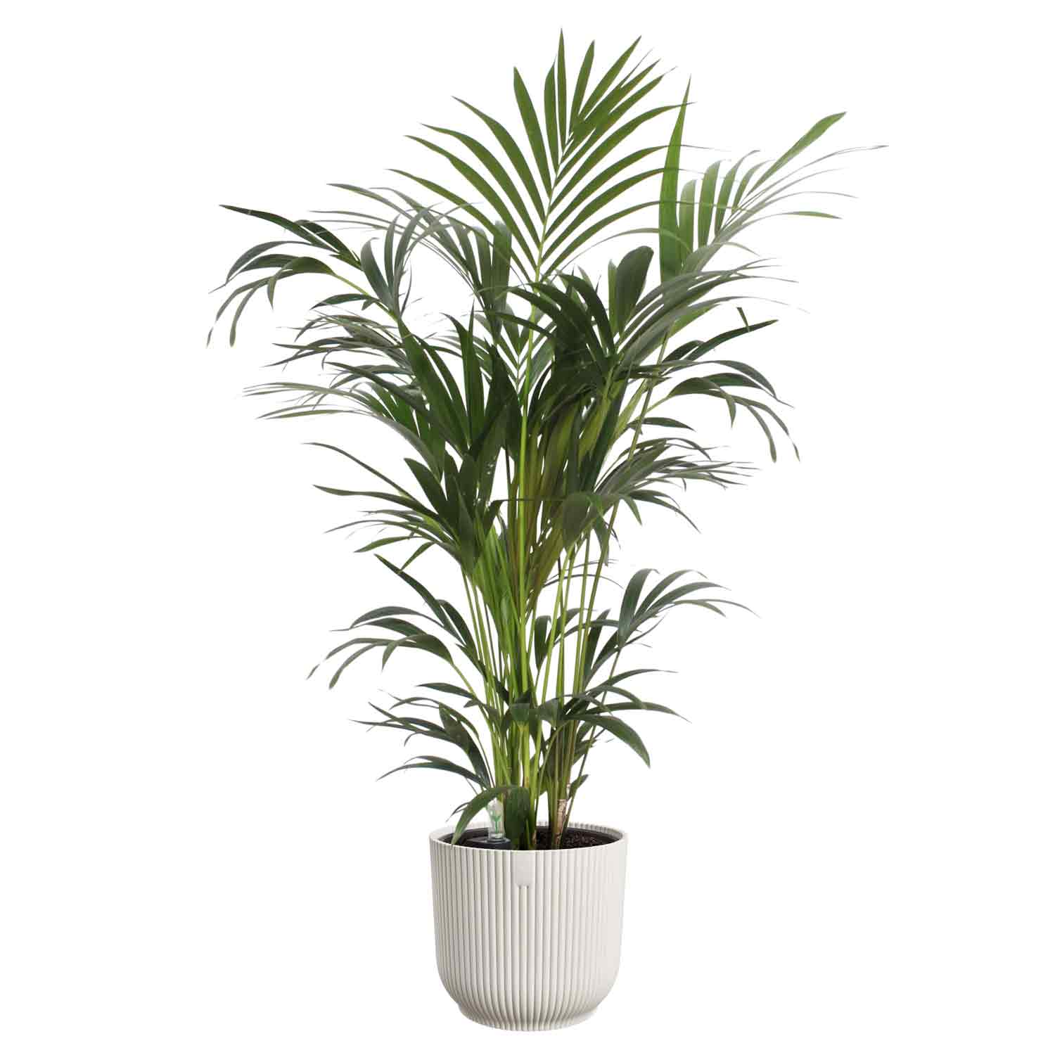 all-in-1 vibes rouind 18 linen white