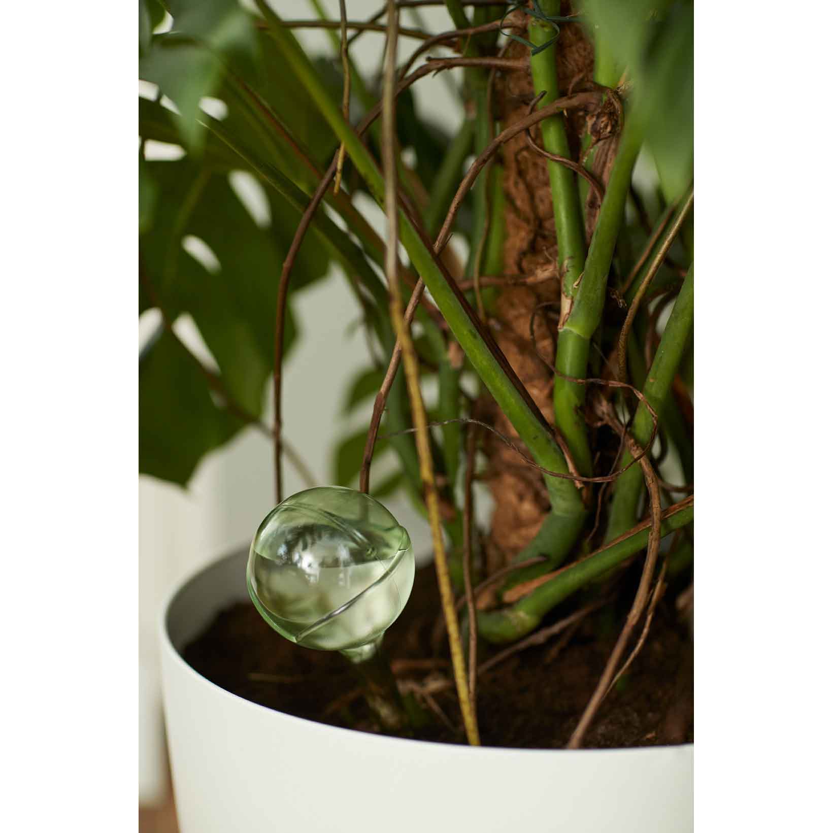 aqua care transparent