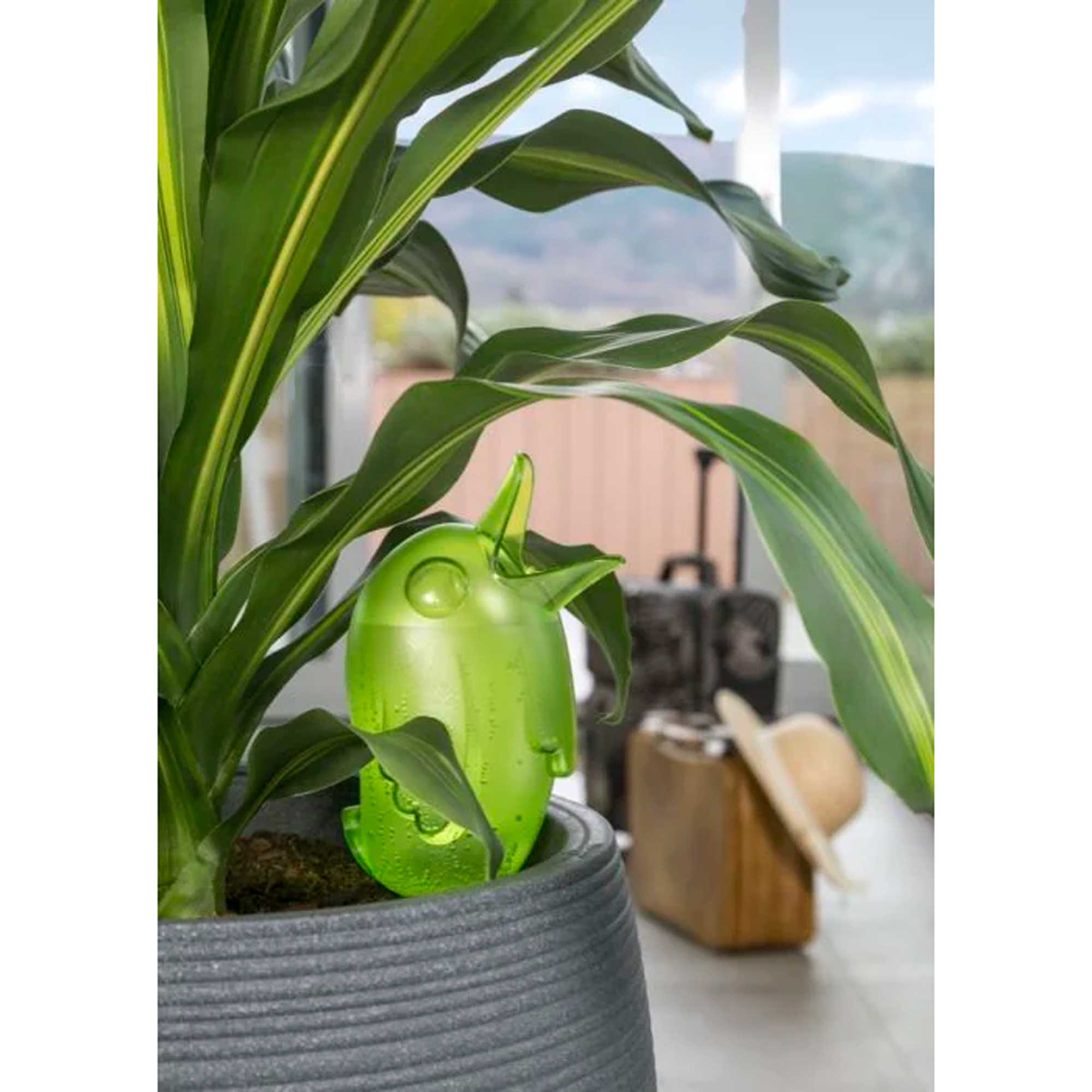 Boerdy Green 110/20