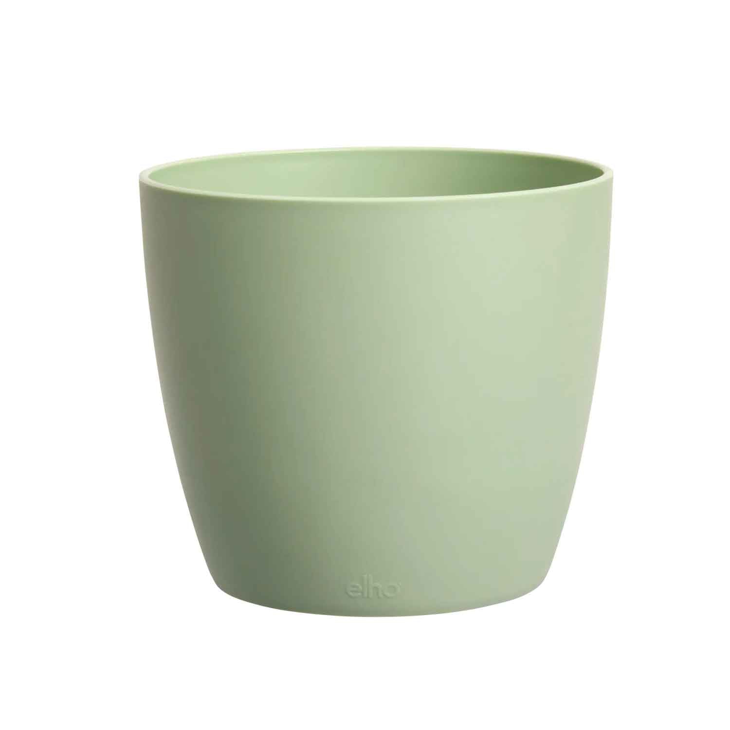 brussels round 14 sorbet green