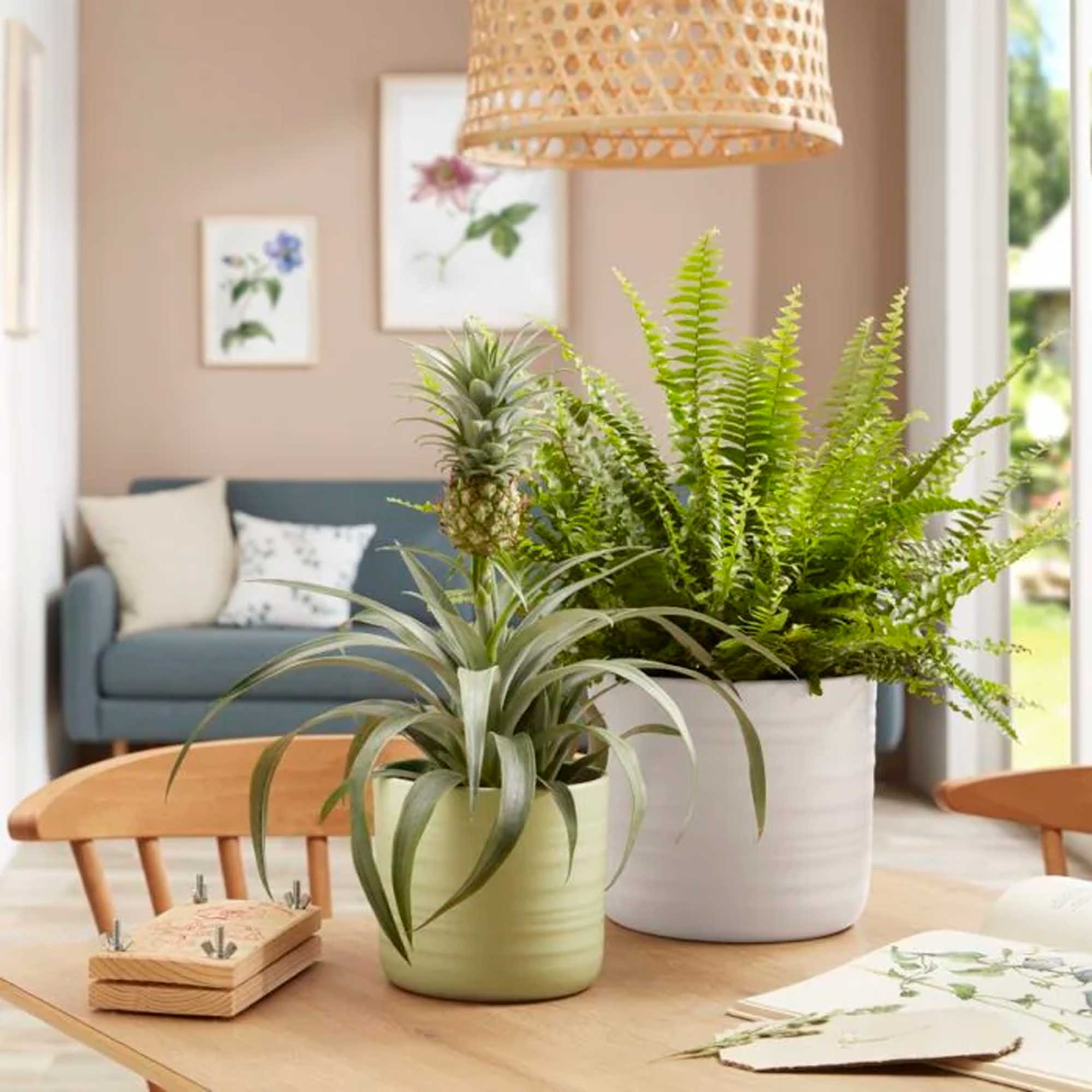 Cover-Pot Silent Green 850/20