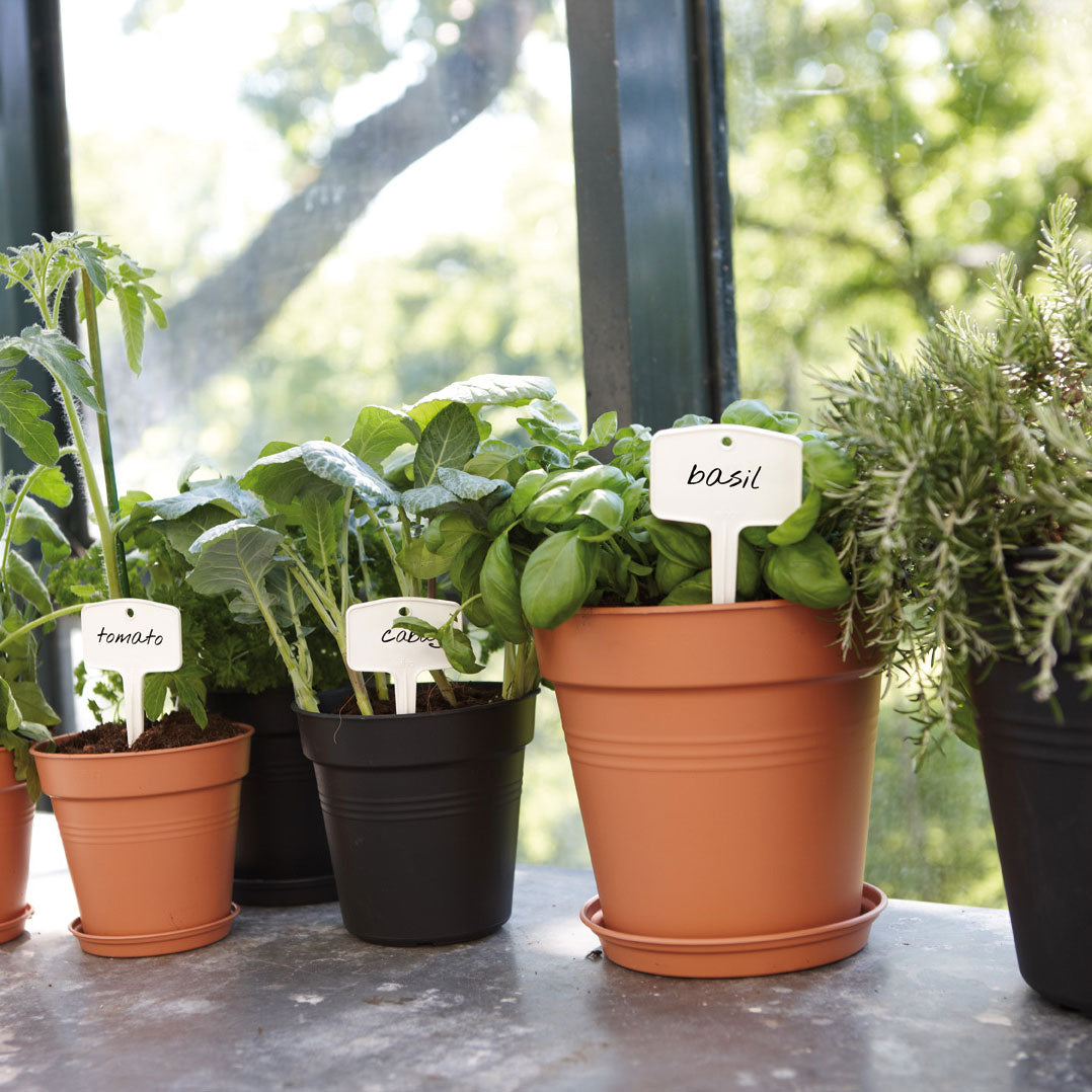 gb plantlabels s w hite (set/5)