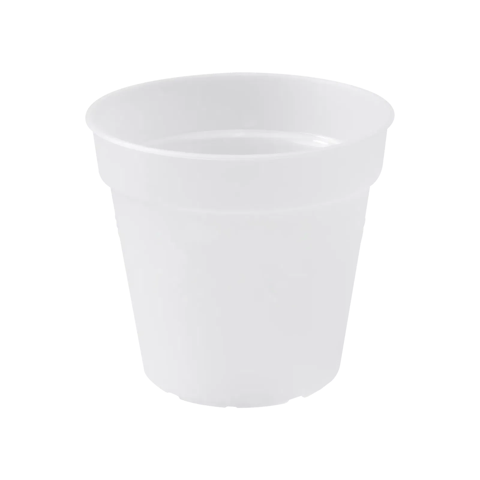 grön basics orkidé 15cm transparent