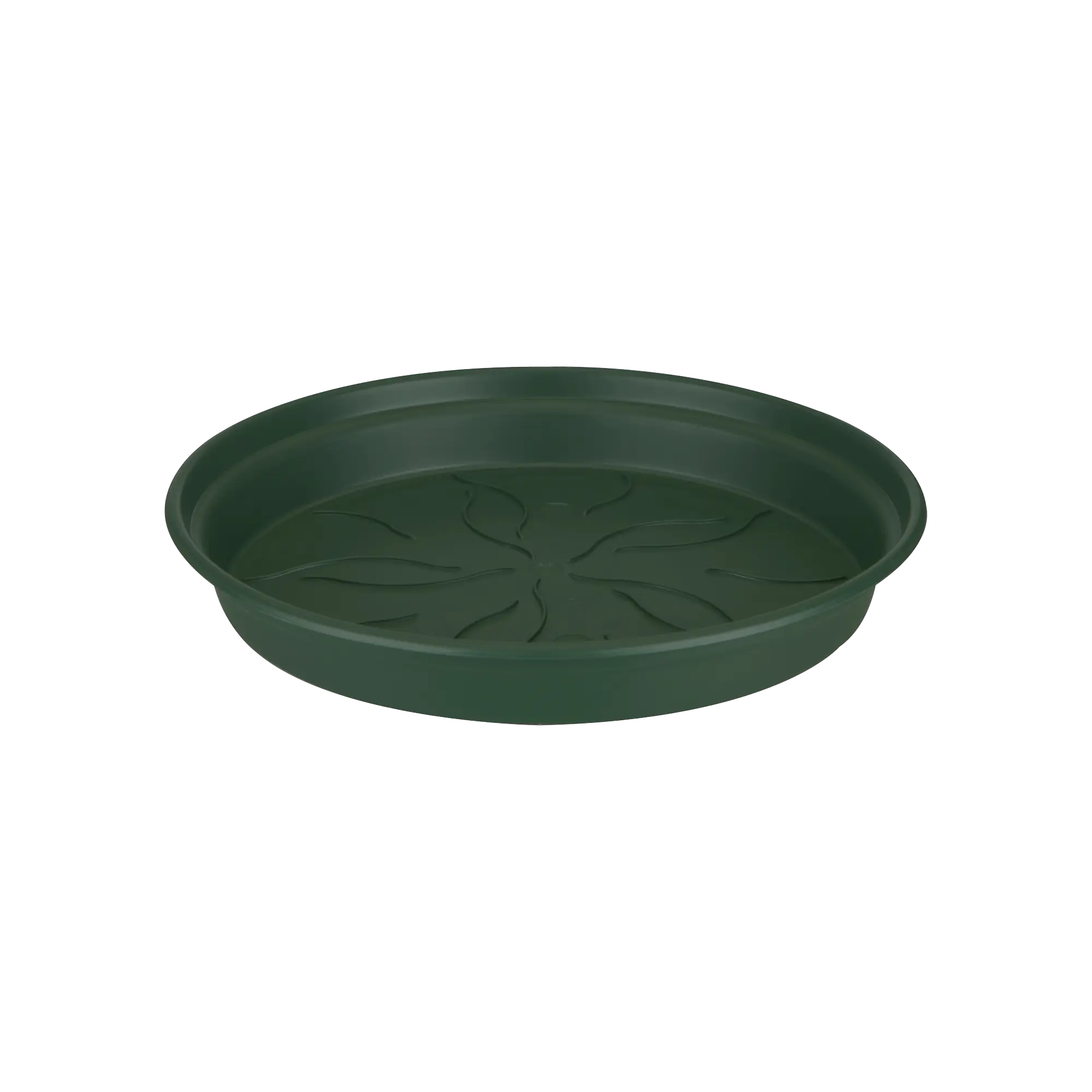 gb saucer 34 leaf green
