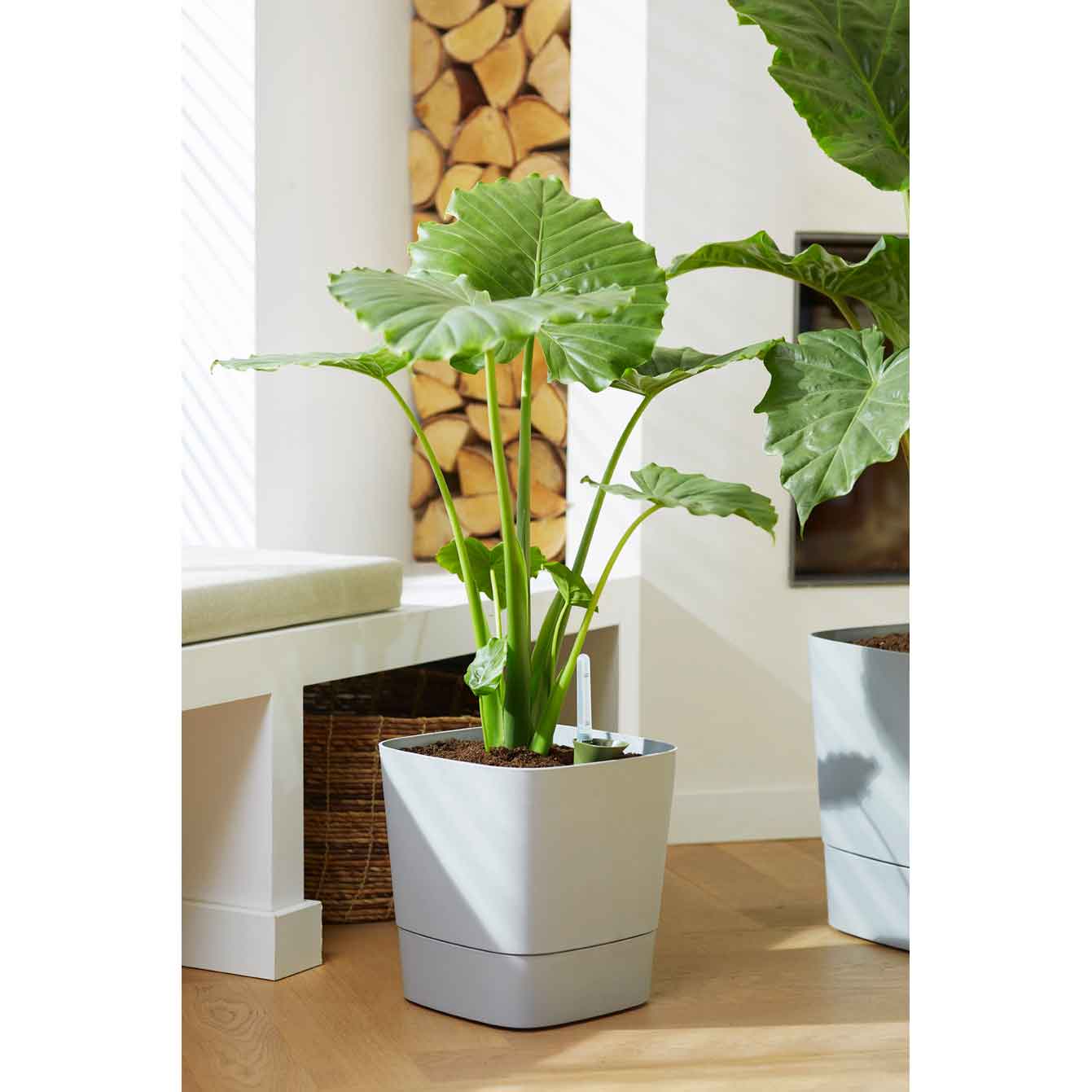 greensense aqua care square 38cm ljusbetong
