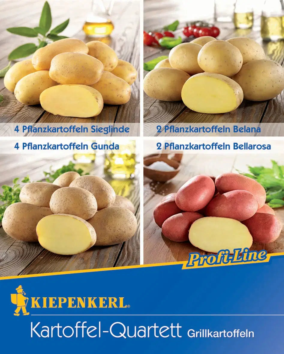 Kartoffel-Quartett Grillkartoffeln