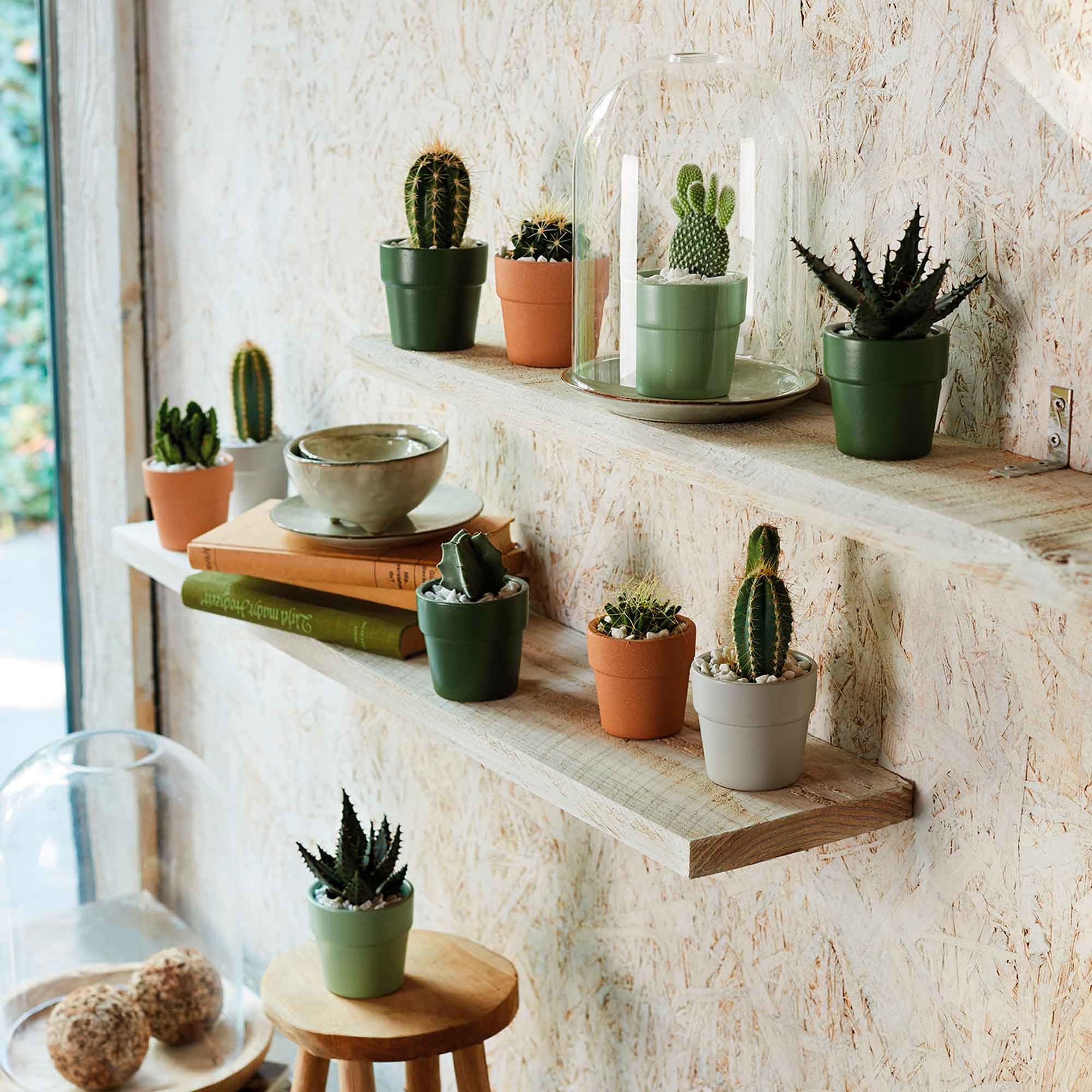 Lima struct terra skjuler Ø7