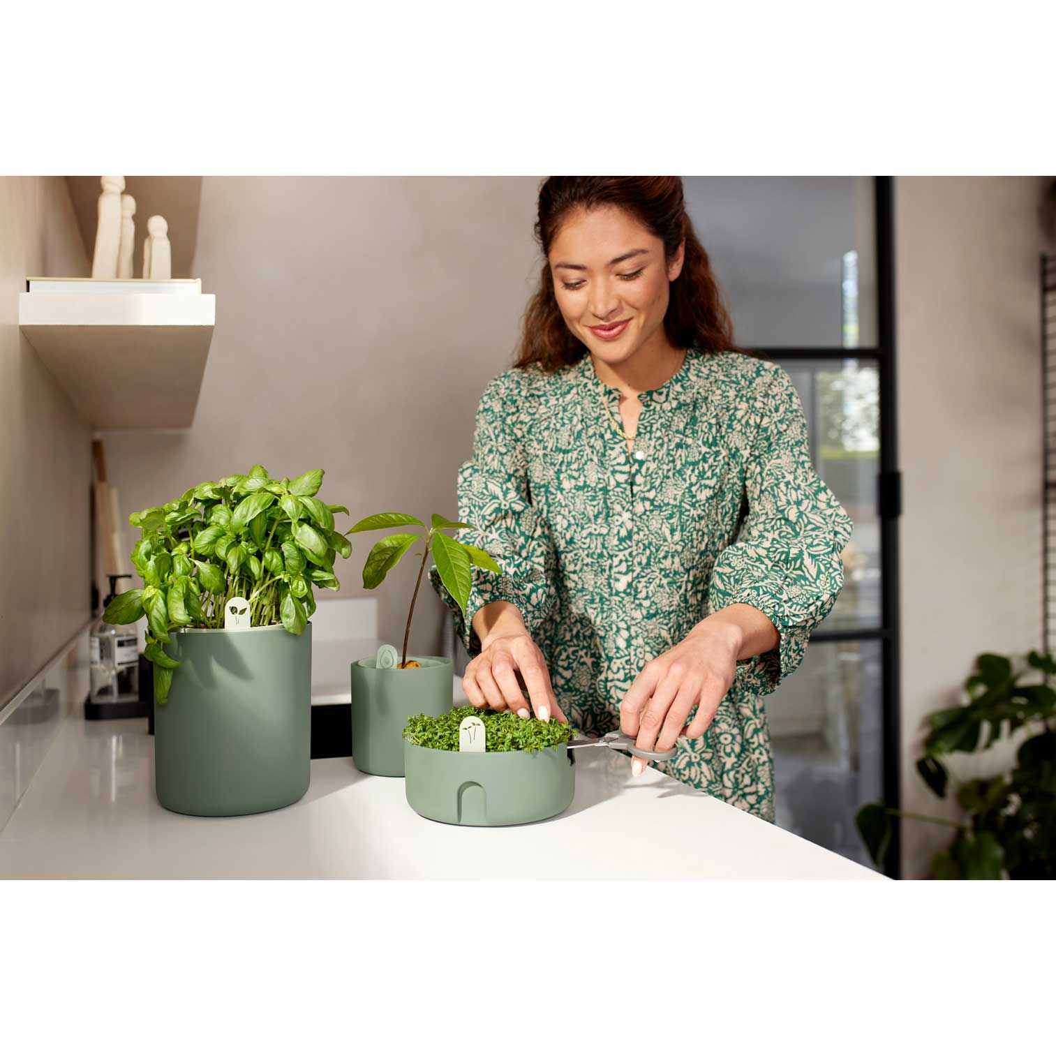 magic microgreen leaf green