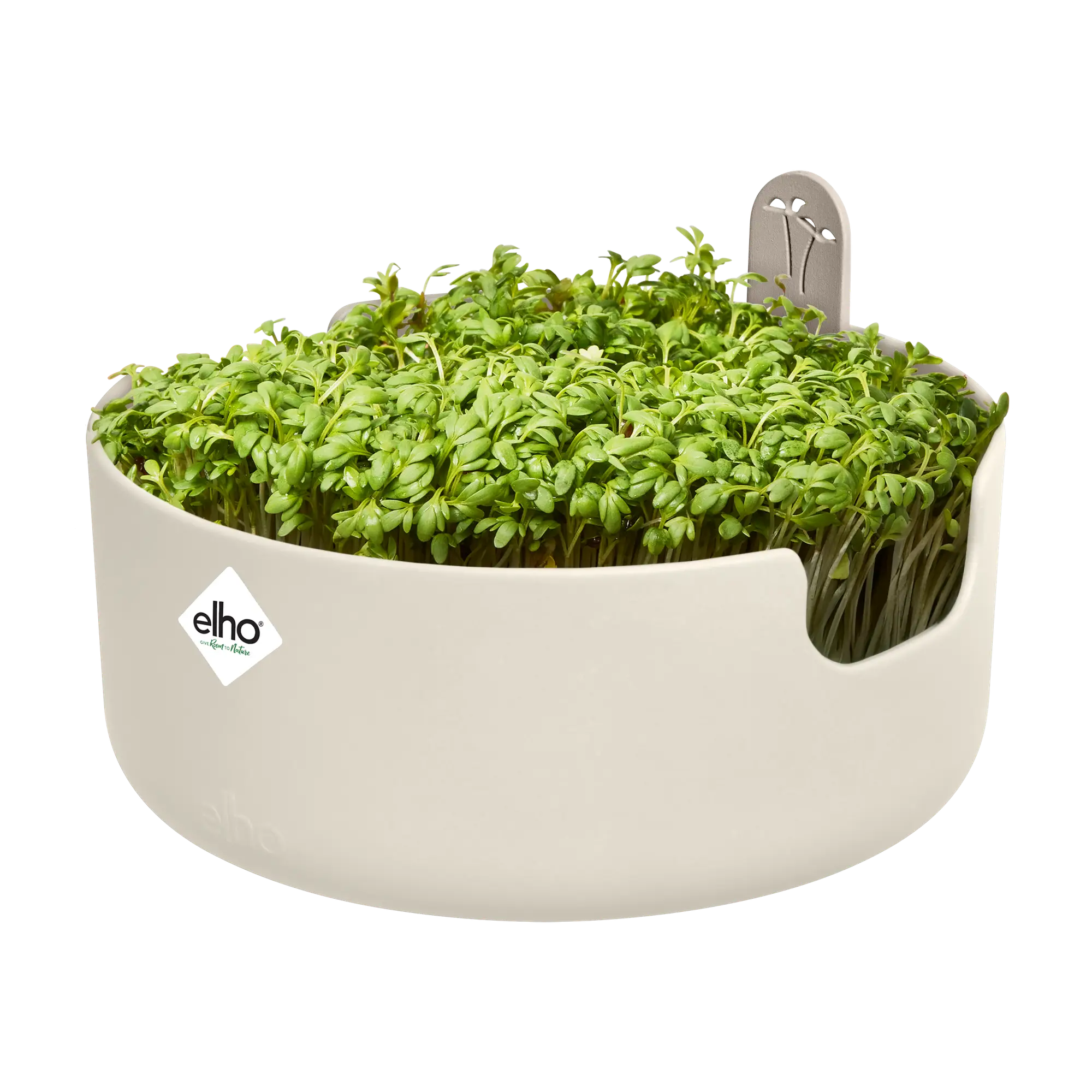 Magic microgreens linen white