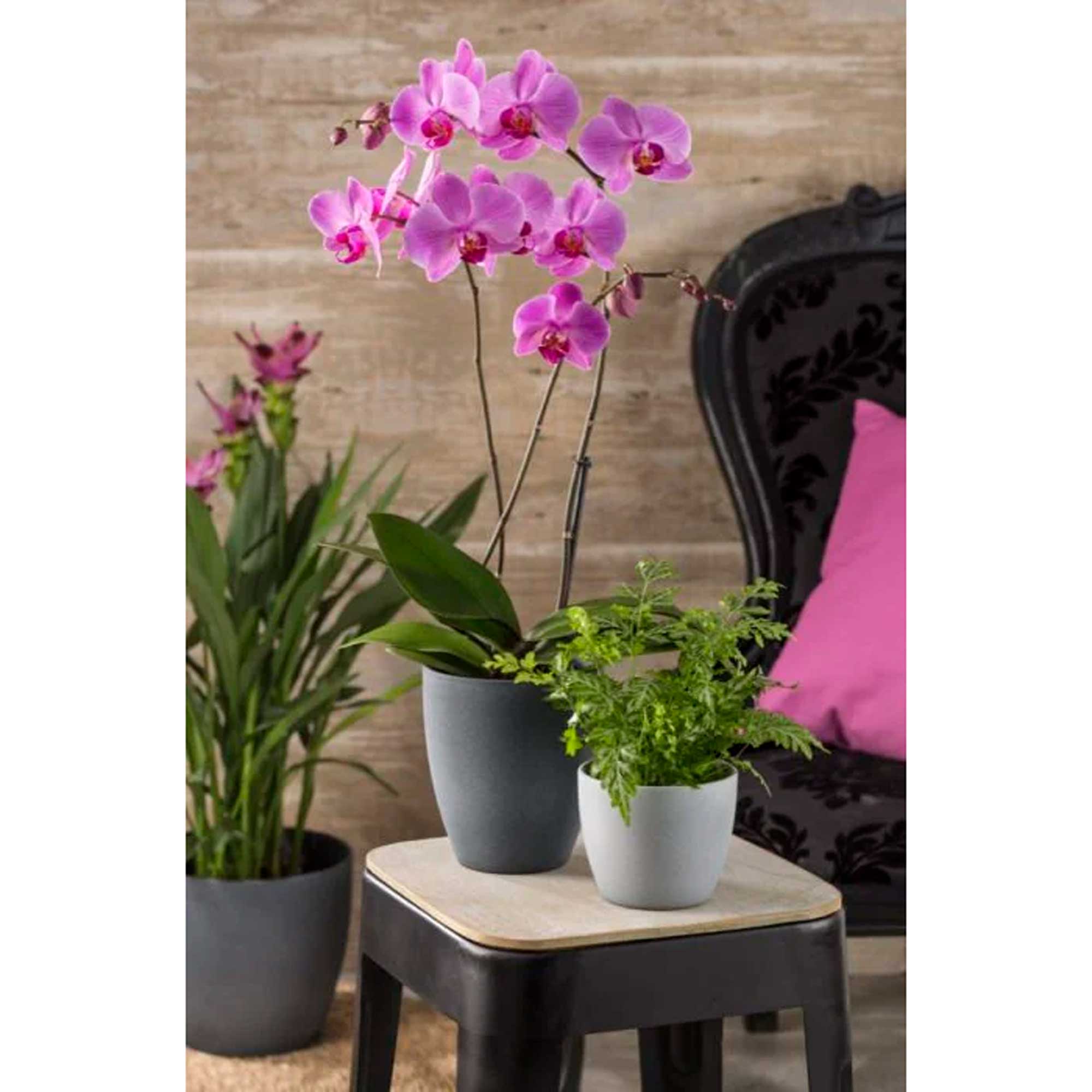 Orchid-Pot Dark Stone 620/15