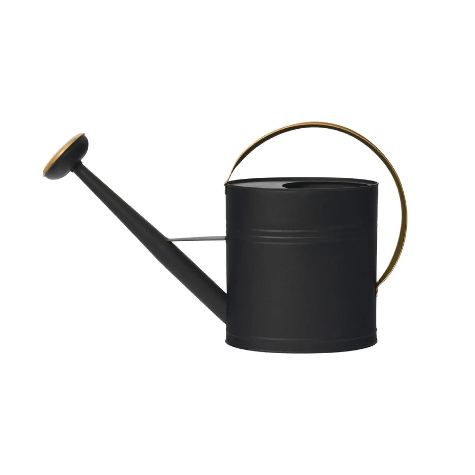 Alvin Lux Vattenkanna Svart/Mässing 10Ltr