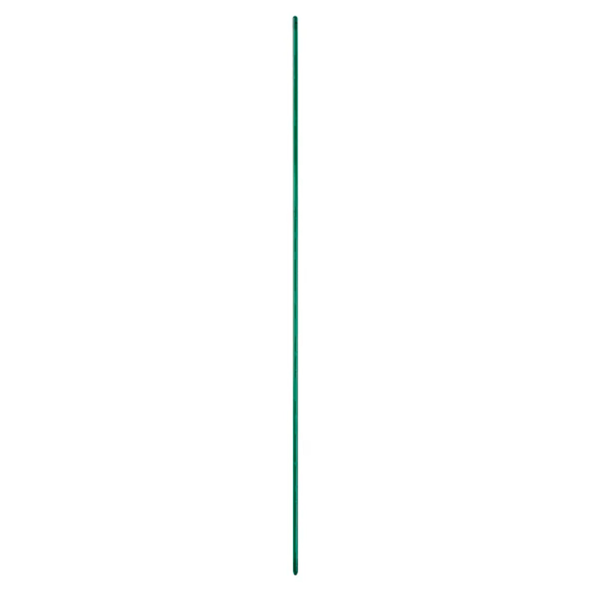 Plantstick Clear Viridian 0149/58