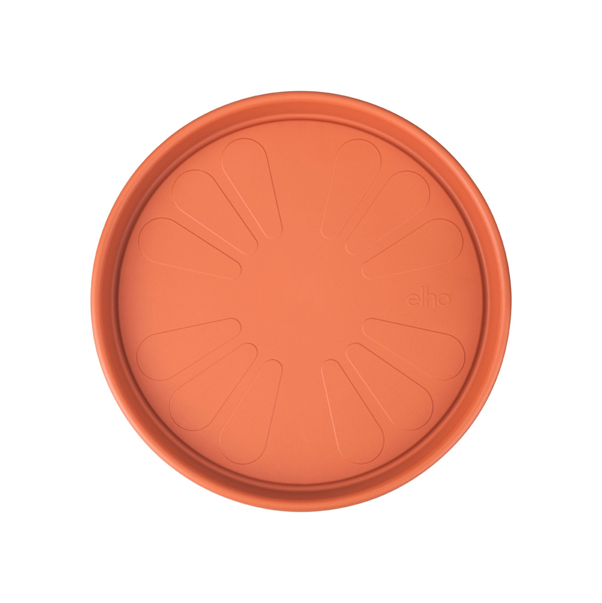 universal plant taxi 30 terra