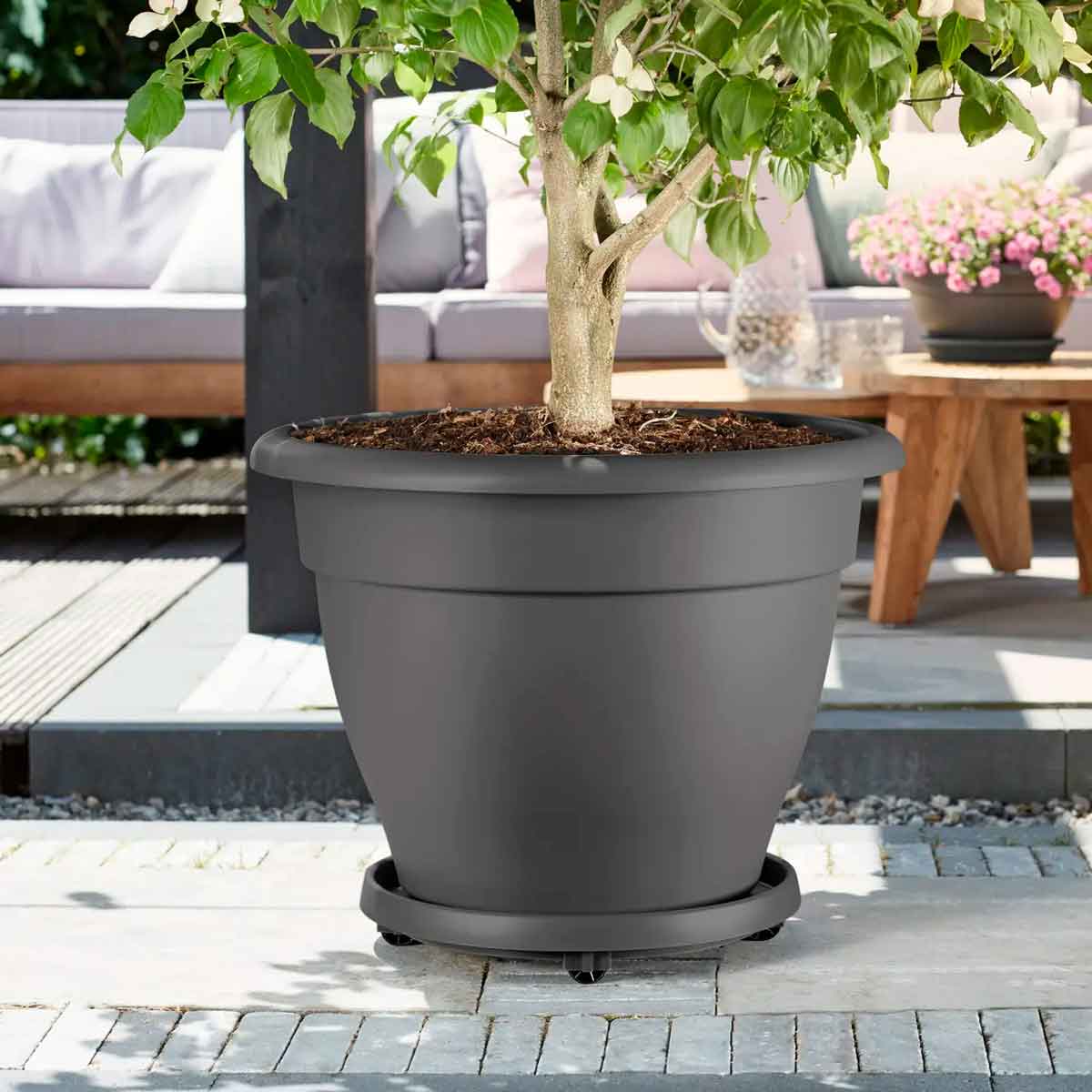 universal plant taxi 35 antracit