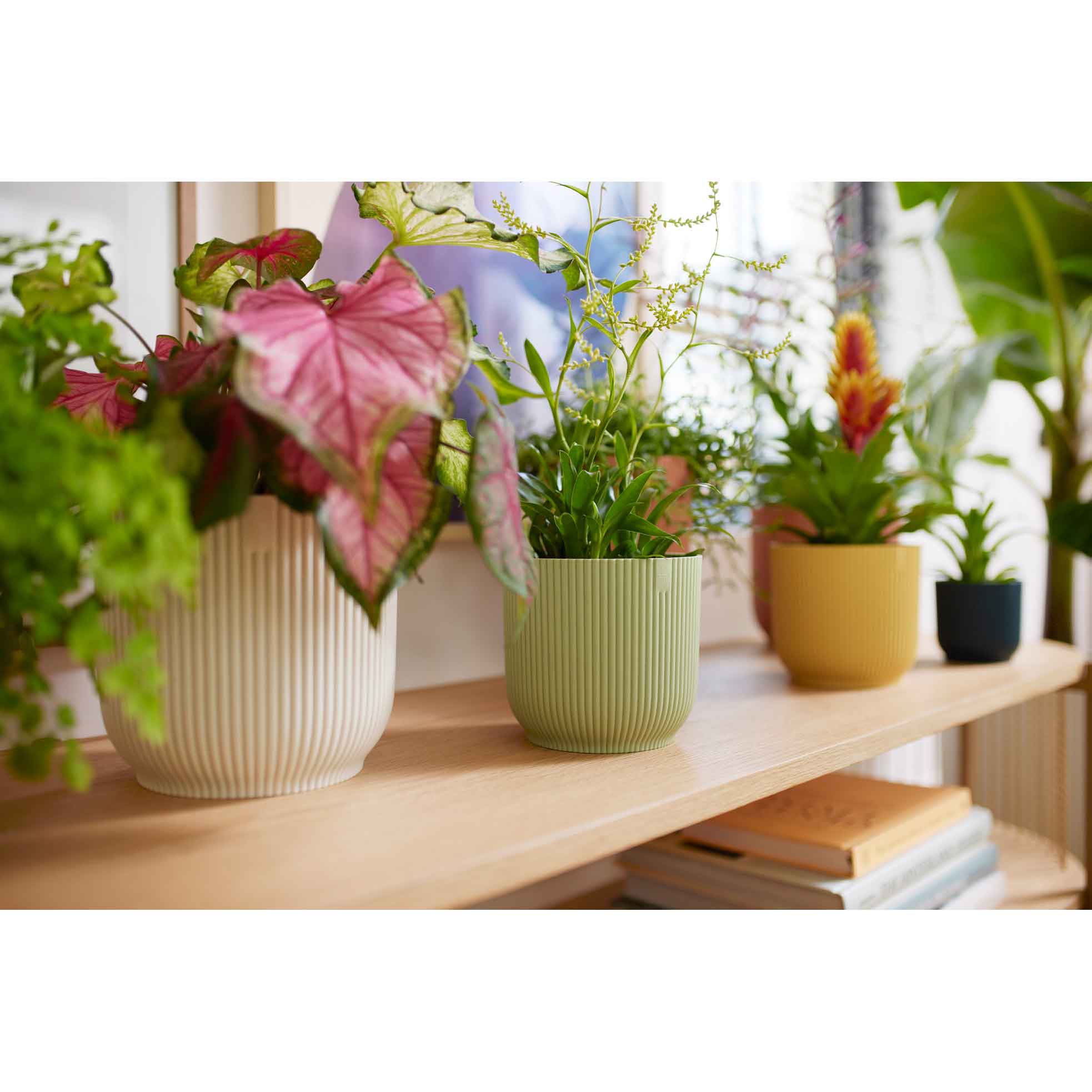 vibbar vik runt mini 7 sorbet grön