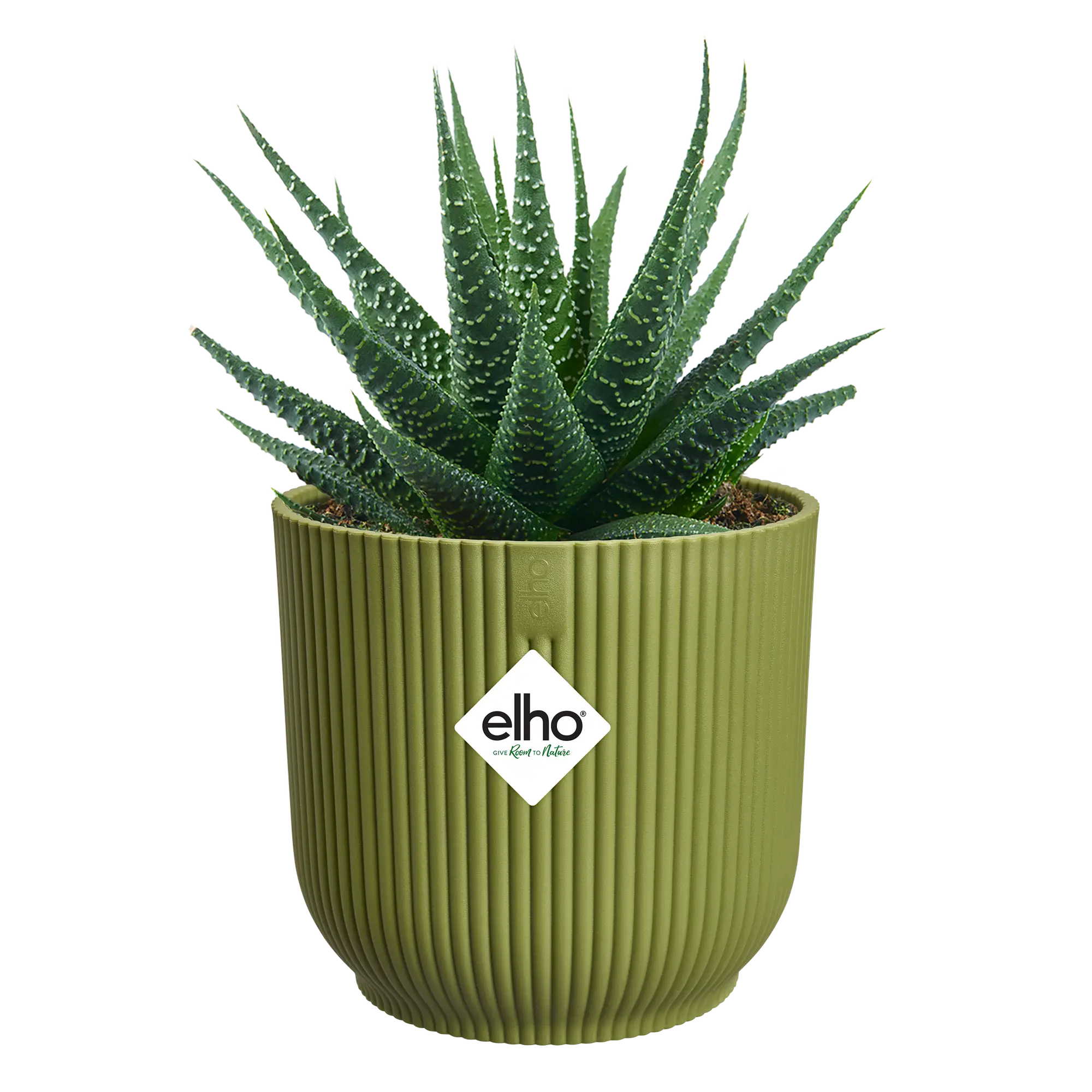 vibes fold round mini 7 fern green
