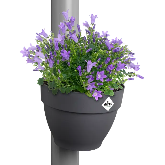 vibia c. drainpipe clicker anthracite