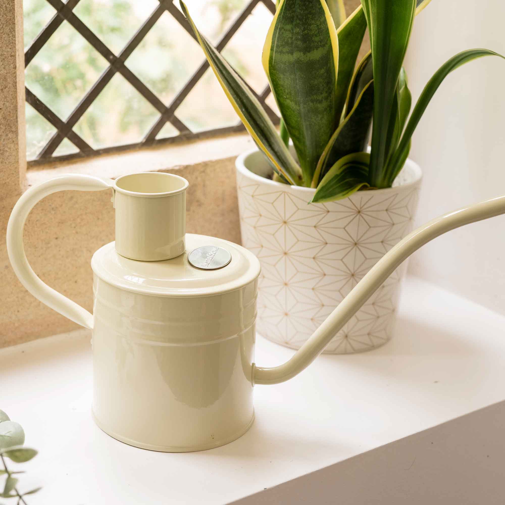Indoor Metal Watering Can Vintage Cream