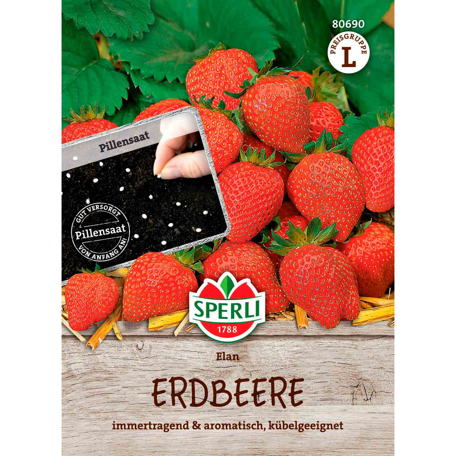 Erdbeere Elan, F1, Pillensaat