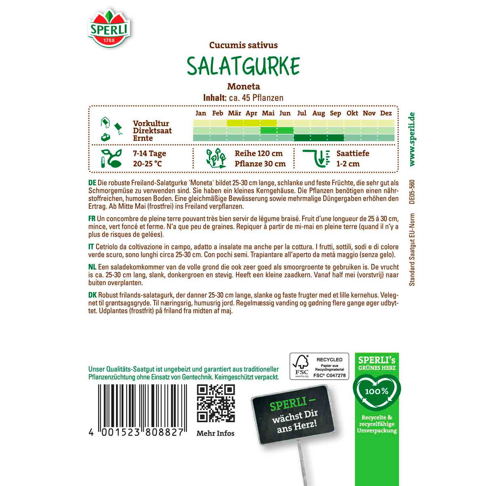 Salatgurke Moneta
