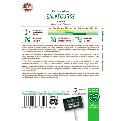Salatgurke Moneta