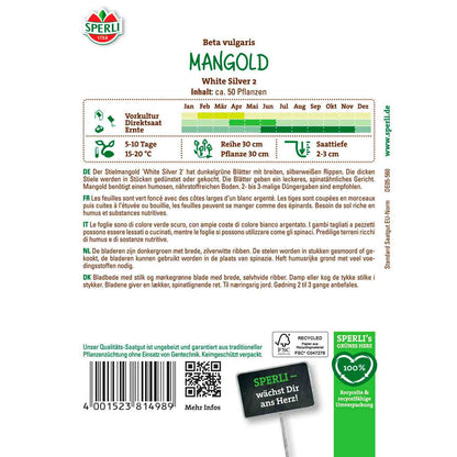 Mangold White Silver 2